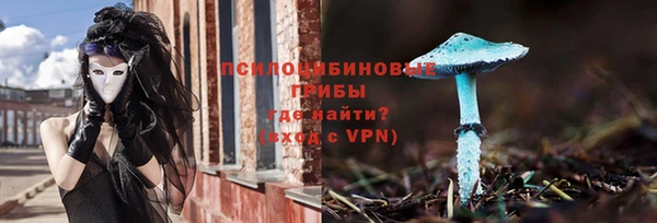 дурь Переславль-Залесский
