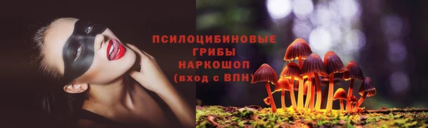 МДПВ Алексин