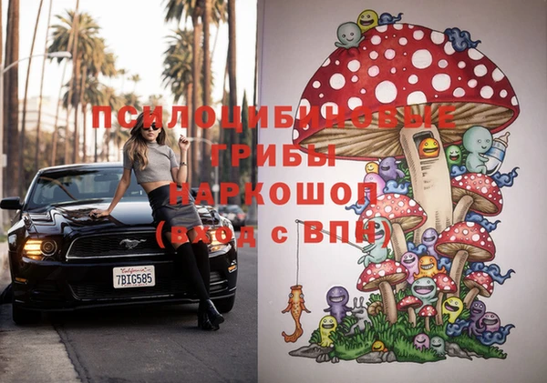 прущие крисы Алзамай