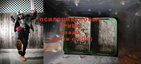 МДПВ Алексин