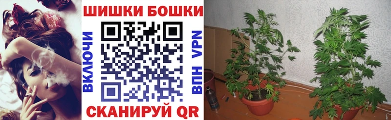 наркотики  Бежецк  Конопля MAZAR 
